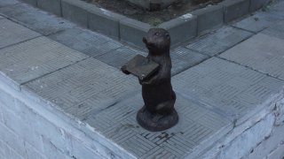 Суслик-отличник.