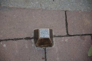 QR-код сусликов на площади Строителей.