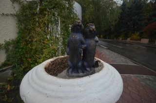 Суслики-молодожёны.