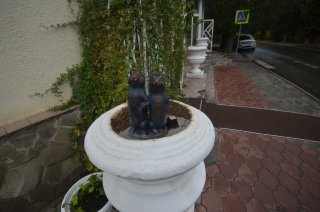 Суслики-молодожёны у ЗАГСа.