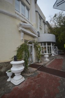 Суслики у ЗАГСа.