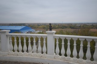 Суслик на парапете.