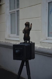 Суслик фотографирует.