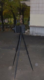 Суслик-фотограф.