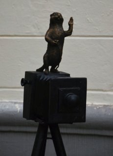 Суслик фотограф.