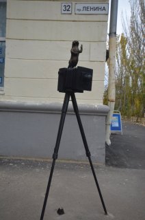 Суслик возле фотоателье.