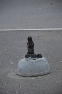 Суслик у водонапорной башни.