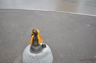 Укутанный суслик.