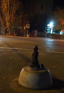 Суслик у башни вечером.