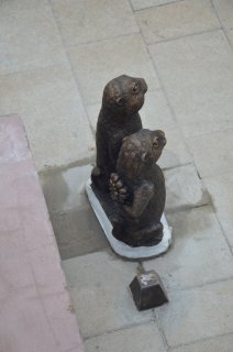 Суслик прячет цветок.