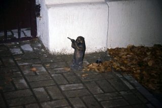Суслик музыкант.