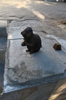 Суслик у эстрады в ЦПКиО.