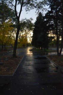 Дорожка сквера.