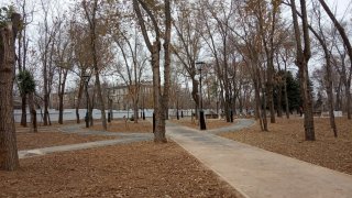 Дорожки в сквере.